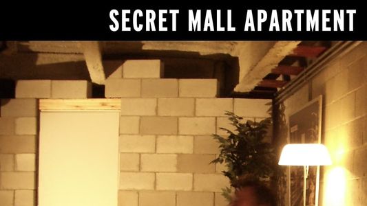 Secret Mall Apartment