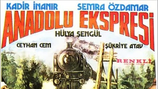 Anadolu Ekspresi