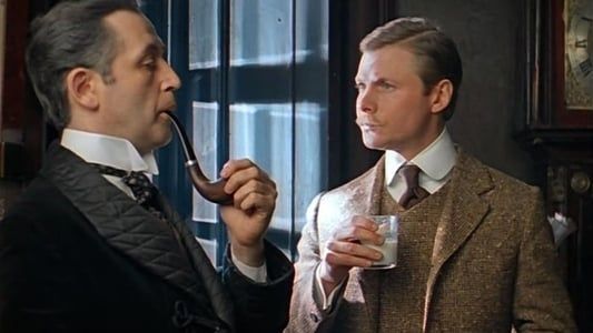 Image The Adventures of Sherlock Holmes and Dr. Watson: The Treasures of Agra, Part 1
