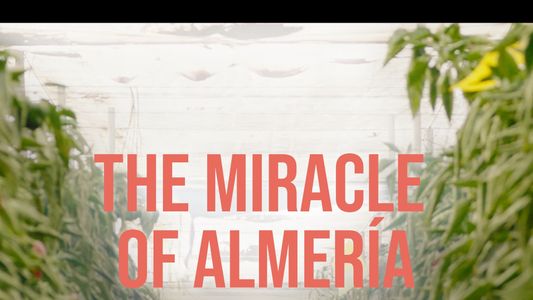 Het Mirakel van Almería