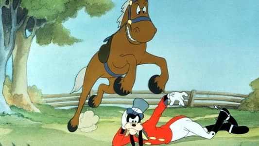 Dingo fait de l'équitation