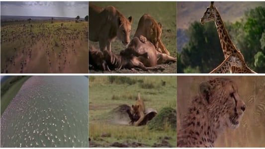 L'Afrique : Le Serengeti