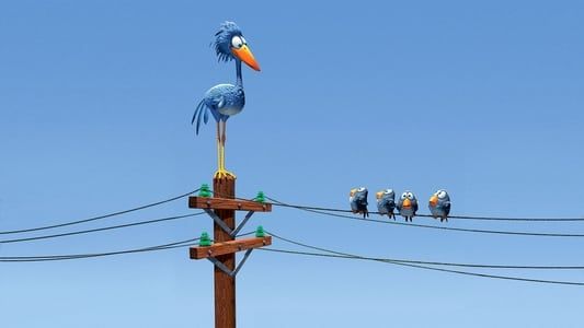 Drôles d'oiseaux sur une ligne à haute tension