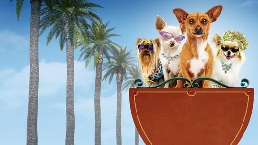 Image Le Chihuahua de Beverly Hills