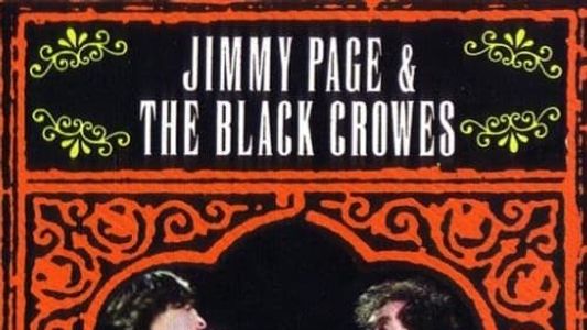 Image Jimmy Page and The Black Crowes - Live at Jones Beach