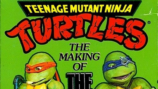 Teenage Mutant Ninja Turtles: The Making of The Coming Out of Their Shells Tour