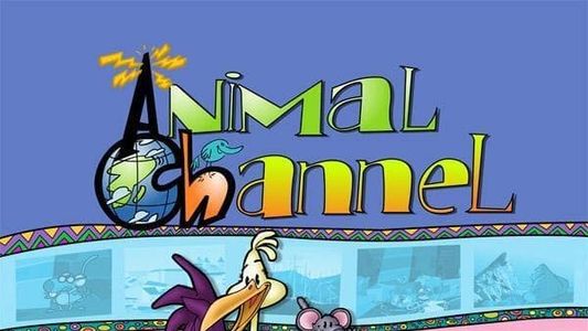 Image Animal Channel