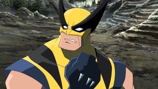 Image Hulk vs. Wolverine