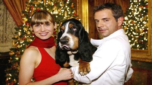 Un Noël de chien