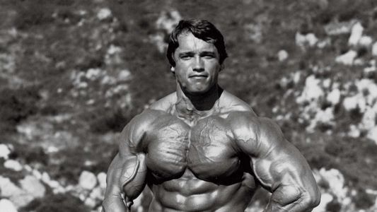 Image Arnold: Made in Britain