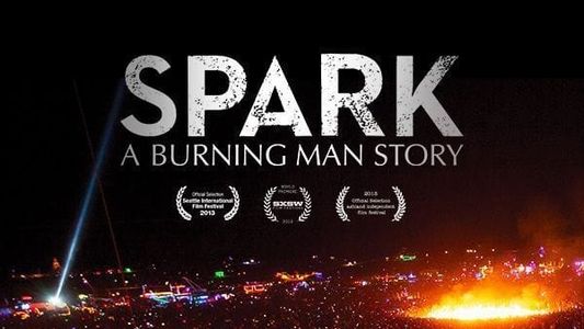 Image Spark: A Burning Man Story