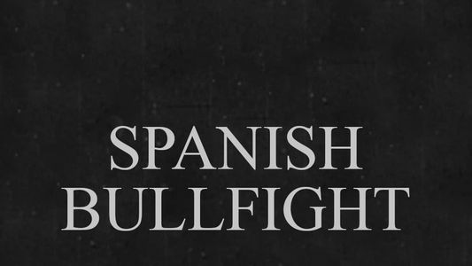 Image Spanish Bullfight