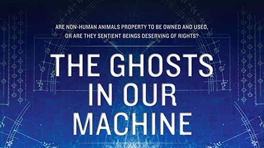 The Ghosts in Our Machine
