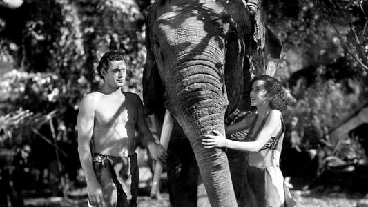 Image Tarzan et sa compagne