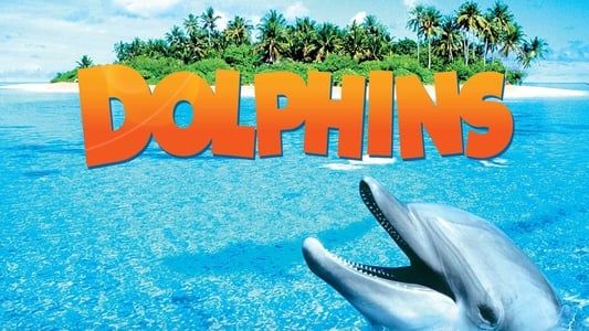 Image Dolphins