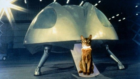 Le Chat qui vient de l'espace