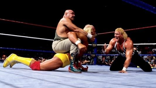 Image WWE SummerSlam 1991