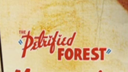 The Petrified Forest: Menace in the Desert
