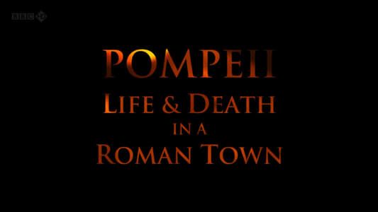 Image Pompeii: Life and Death in a Roman Town