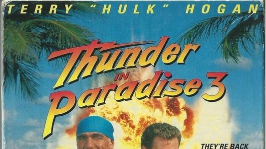 Thunder in Paradise 3