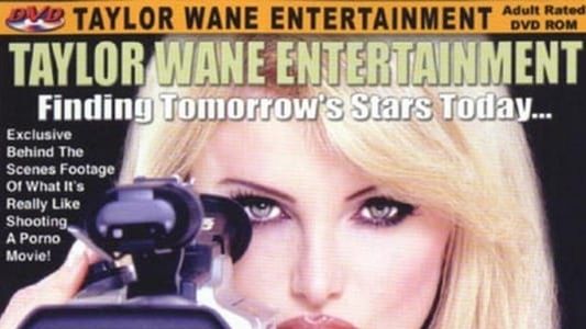 Taylor Wane's Wanna-Be's: DD Edition