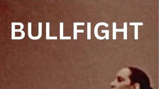 Image Bullfight