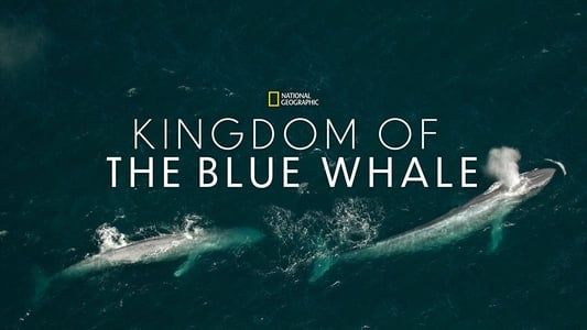 Image Kingdom of the Blue Whale