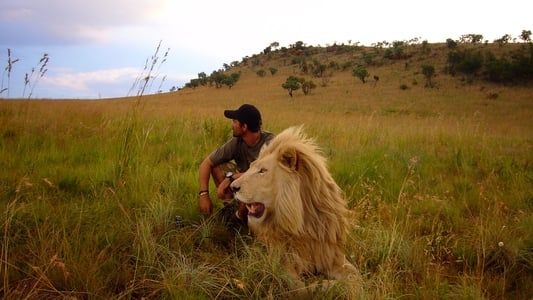 Image African Safari