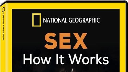 Sex How It Works