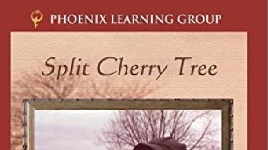 Split Cherry Tree