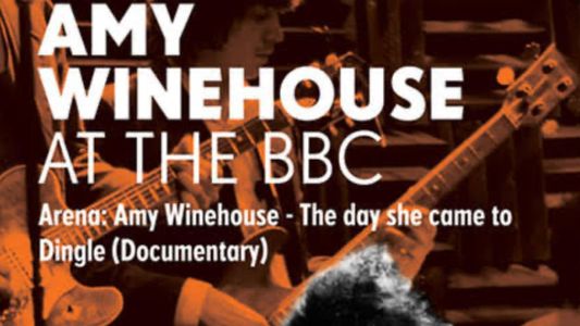 Image Amy Winehouse : Live in Dingle