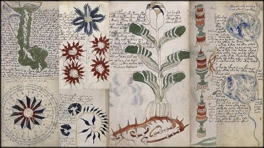 Image The Voynich Code: The World's Most Mysterious Manuscript