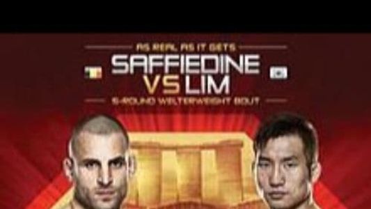 UFC Fight Night 34: Saffiedine vs. Lim