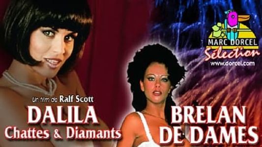 Dalila : Chattes & Diamants