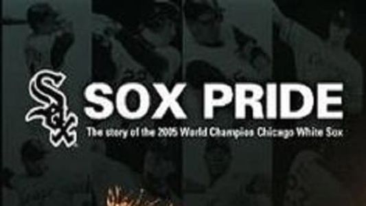 Image Sox Pride