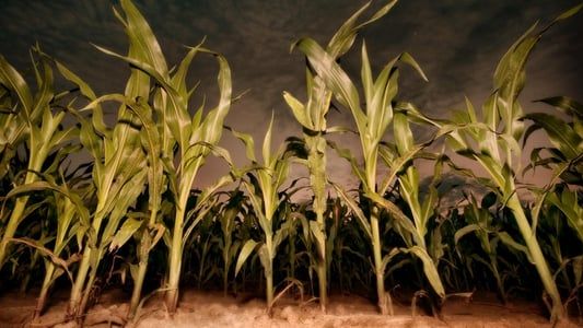 Les Démons du maïs 7 - Révélation