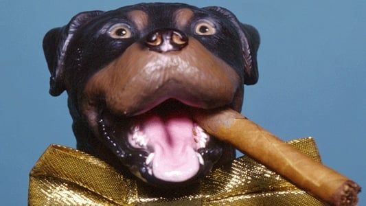 Image Late Night with Conan O'Brien: The Best of Triumph the Insult Comic Dog