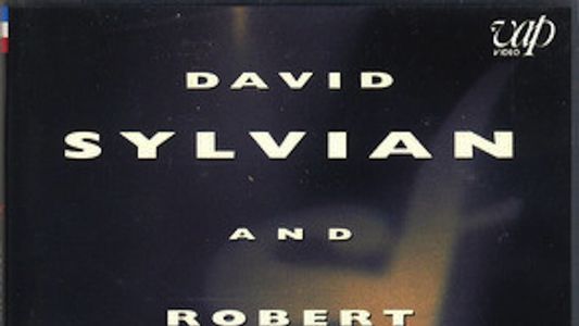 David Sylvian and Robert Fripp: Live in Japan