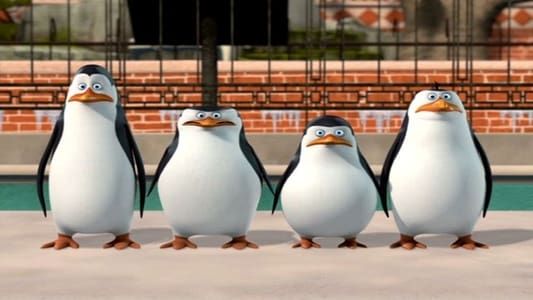 Image Les Pingouins de Madagascar : Du nouveau au zoo