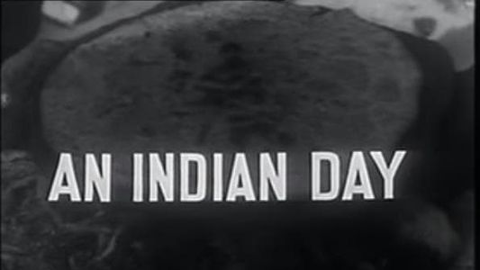 Image An Indian Day