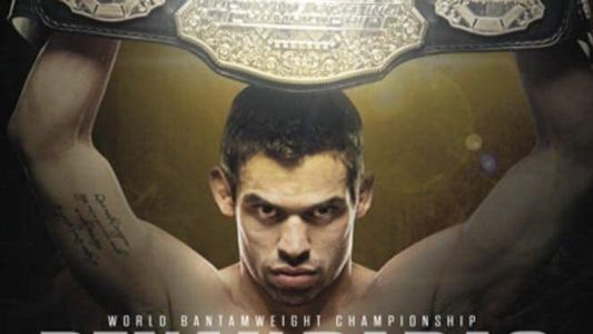 Image UFC 173: Barao vs. Dillashaw
