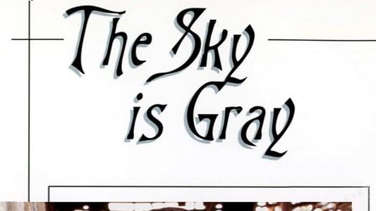 The Sky Is Gray
