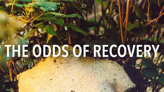 The Odds of Recovery