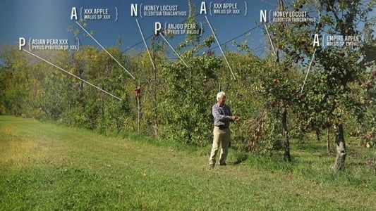 Image The Permaculture Orchard: Beyond Organic