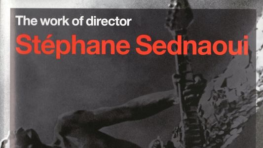The Work of Director Stéphane Sednaoui