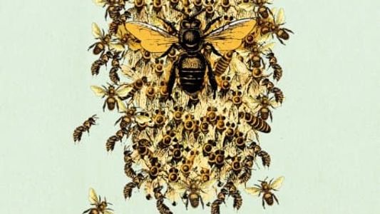 Image Bees