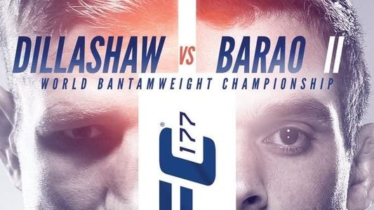 Image UFC 177: Dillashaw vs. Soto