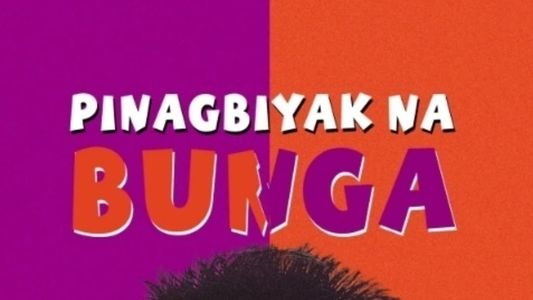 Pinagbiyak Na Bunga: Lookalayk