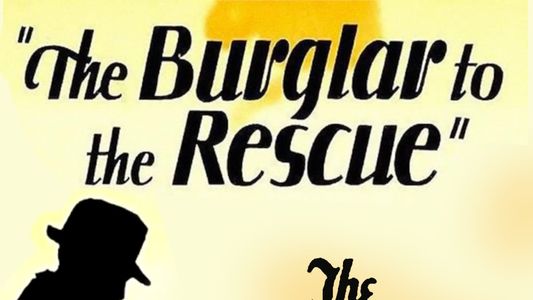 A Burglar to the Rescue