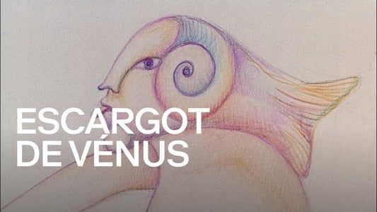 Image Escargot de Vénus